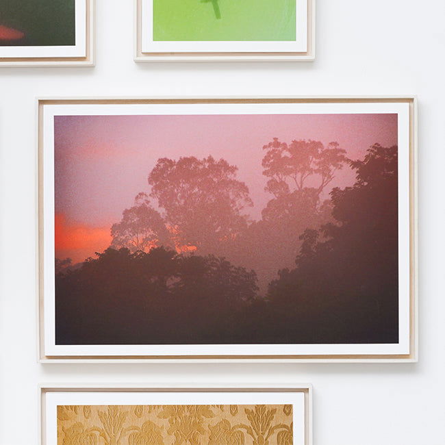 Fordlandia 2 - Carbono Galeria