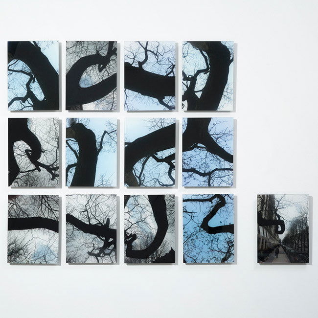 Garranchos - Carbono Galeria