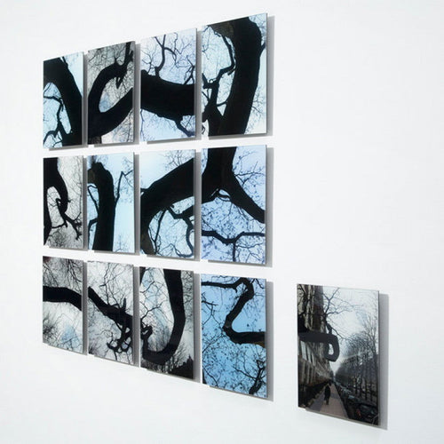 Garranchos - Carbono Galeria