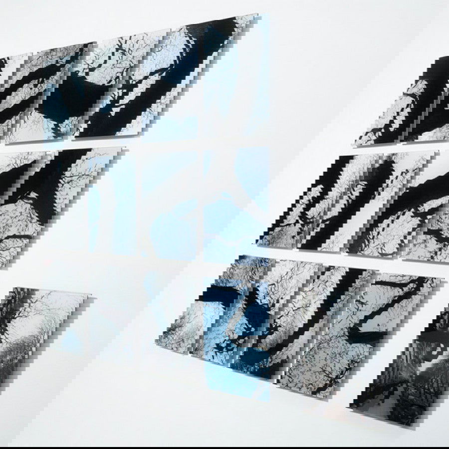 Garranchos - Carbono Galeria