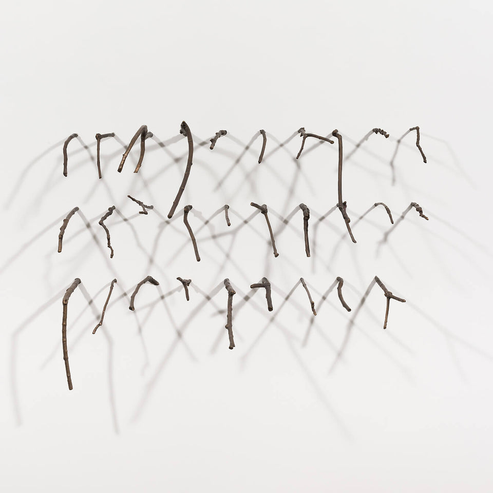 Garranchos - Carbono Galeria