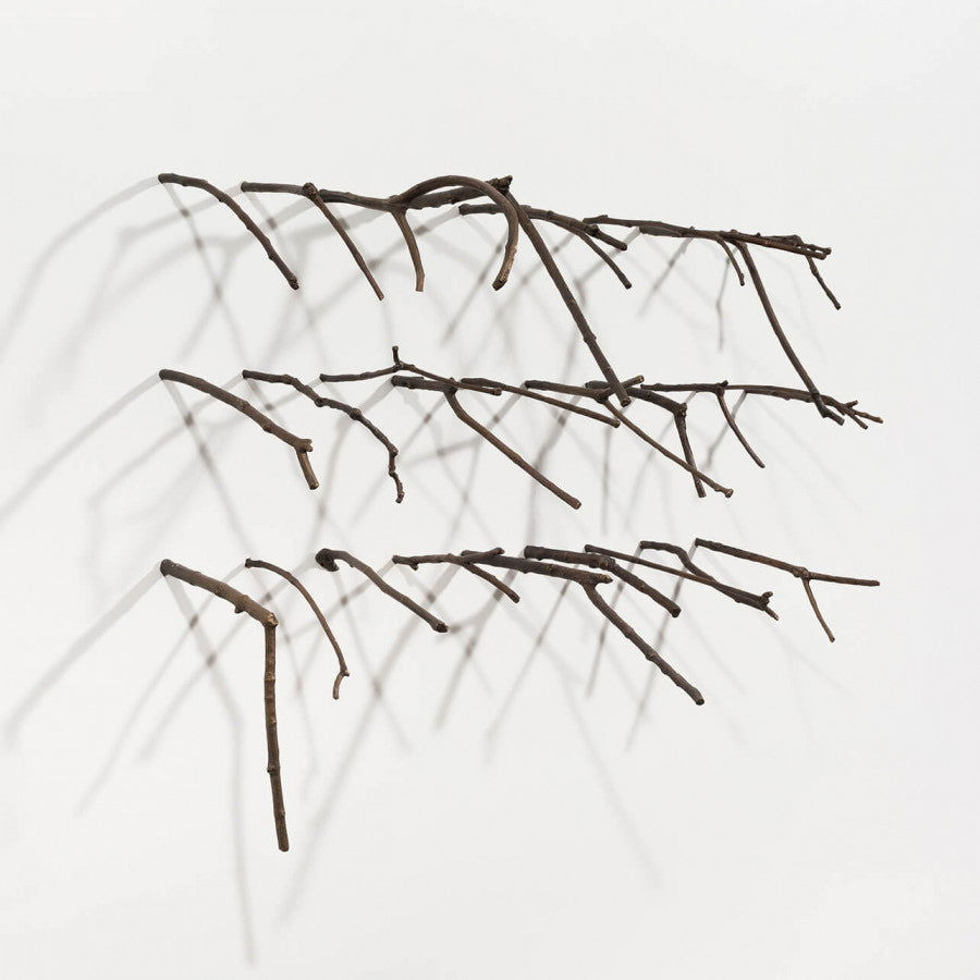 Garranchos - Carbono Galeria