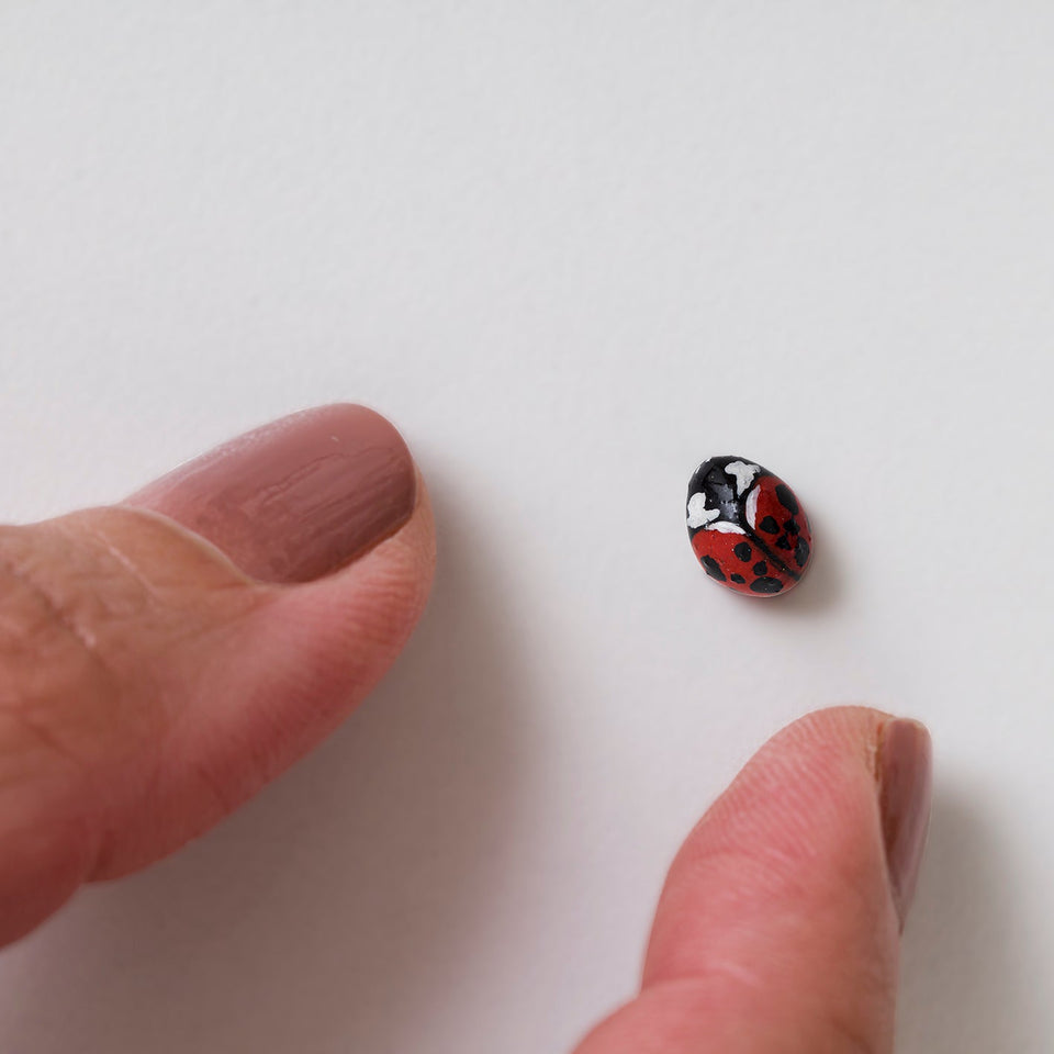 Joaninha - Carbono Galeria