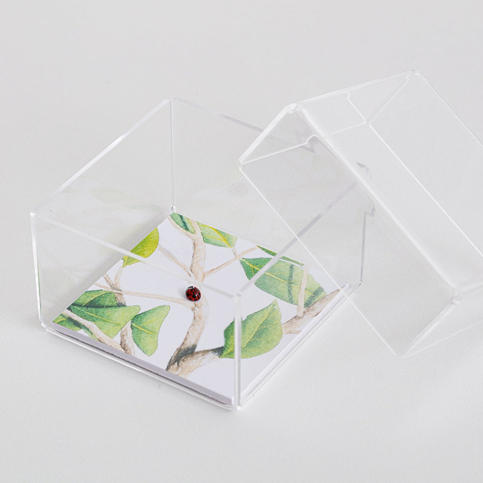 Joaninha - Carbono Galeria