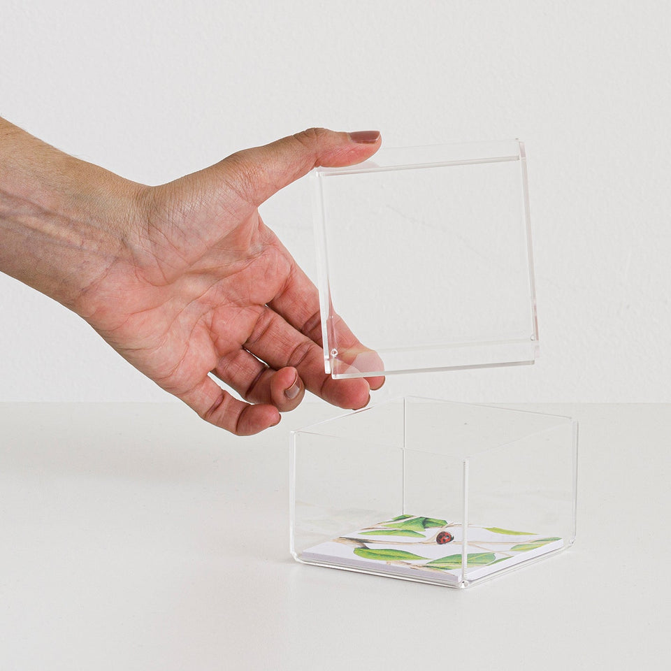 Joaninha - Carbono Galeria