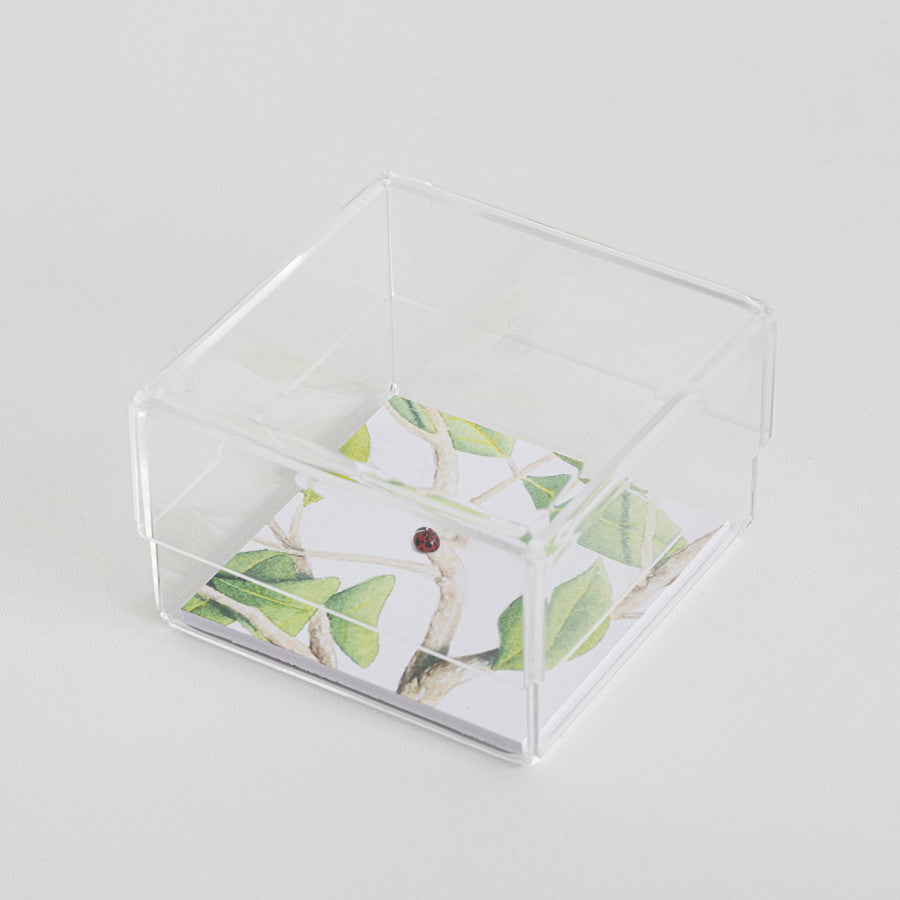 Joaninha - Carbono Galeria