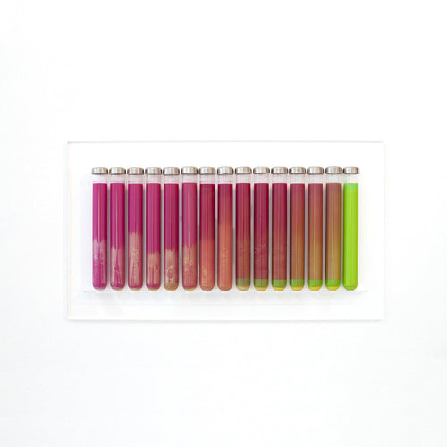 LAB 1 - Carbono Galeria