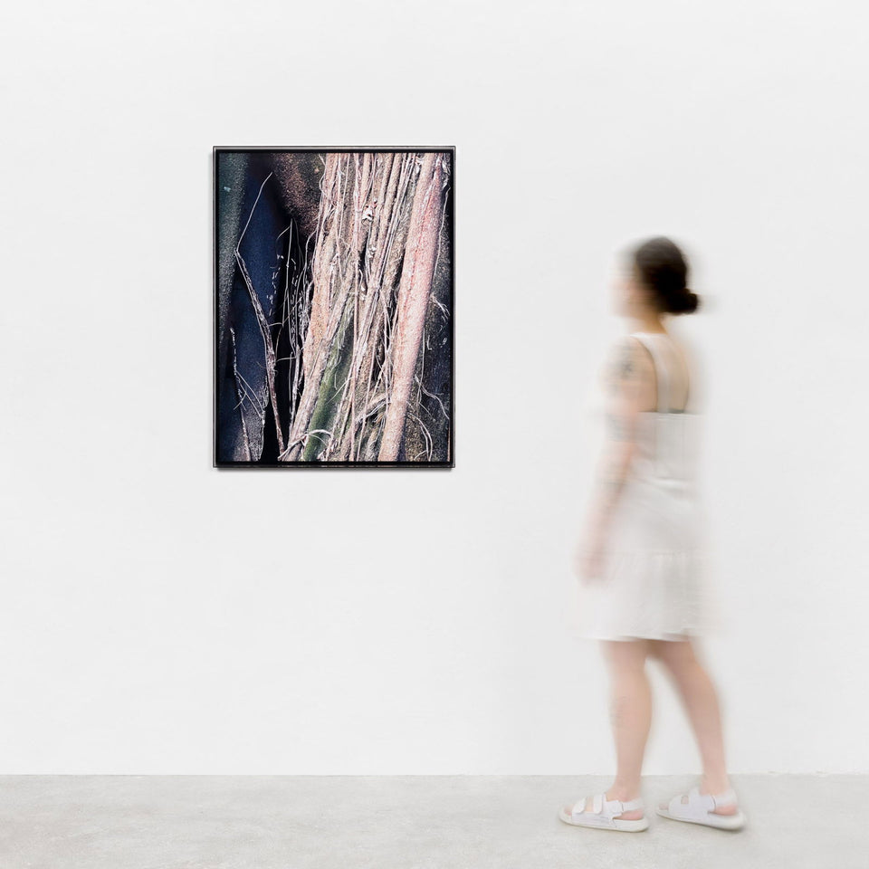 Liana III - Carbono Galeria