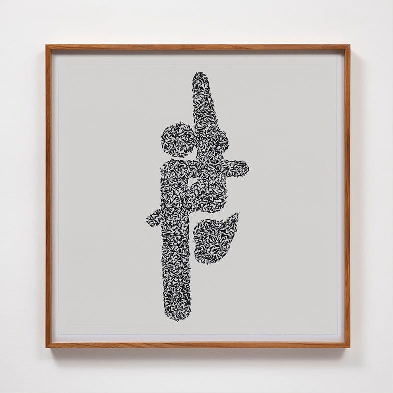 Lovebugs - Carbono Galeria