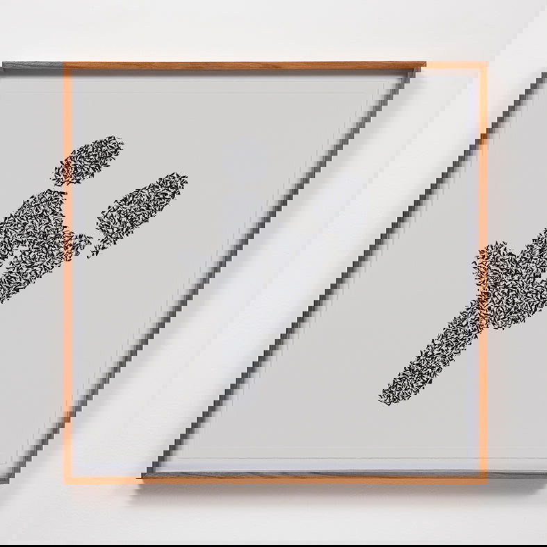 Lovebugs - Carbono Galeria