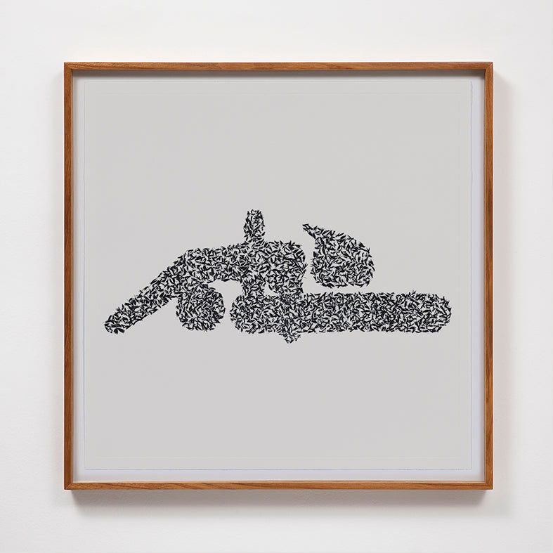 Lovebugs - Carbono Galeria