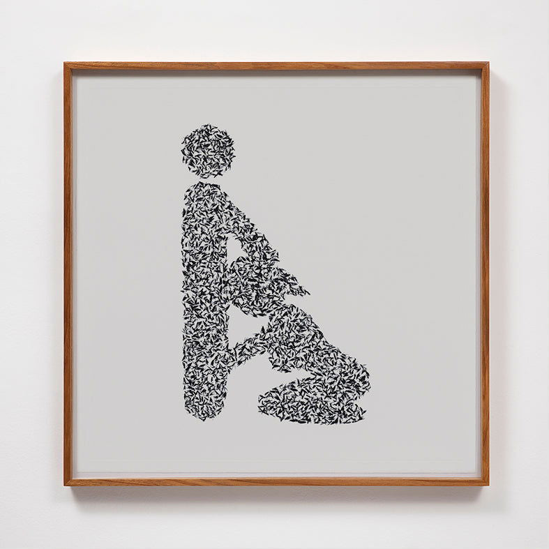 Lovebugs - Carbono Galeria