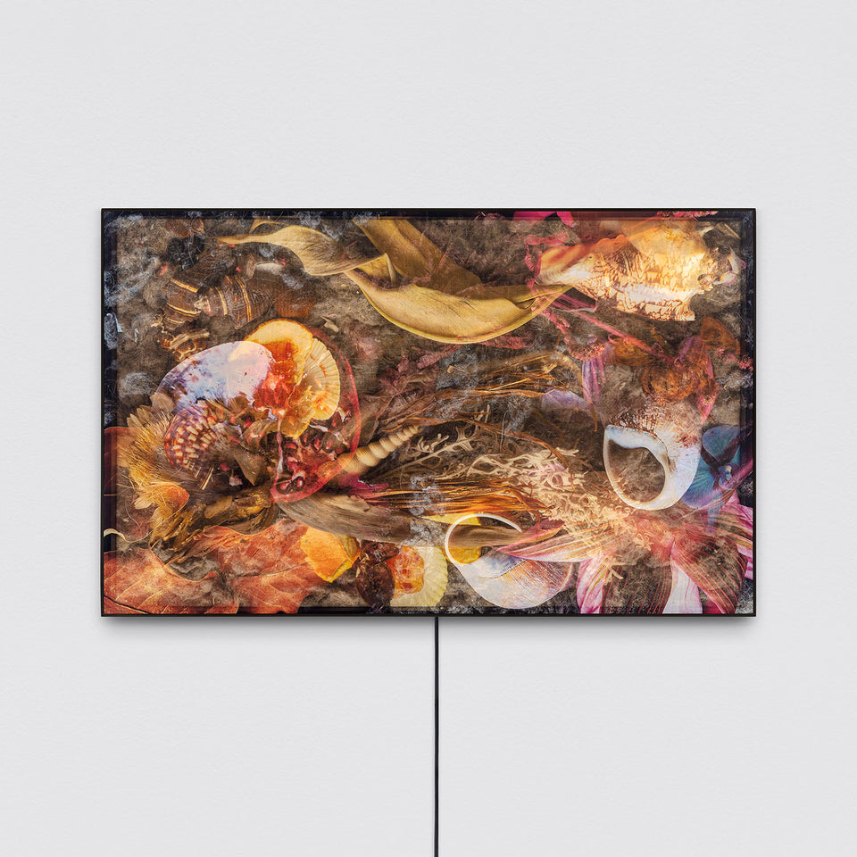 The translucent matter of the image