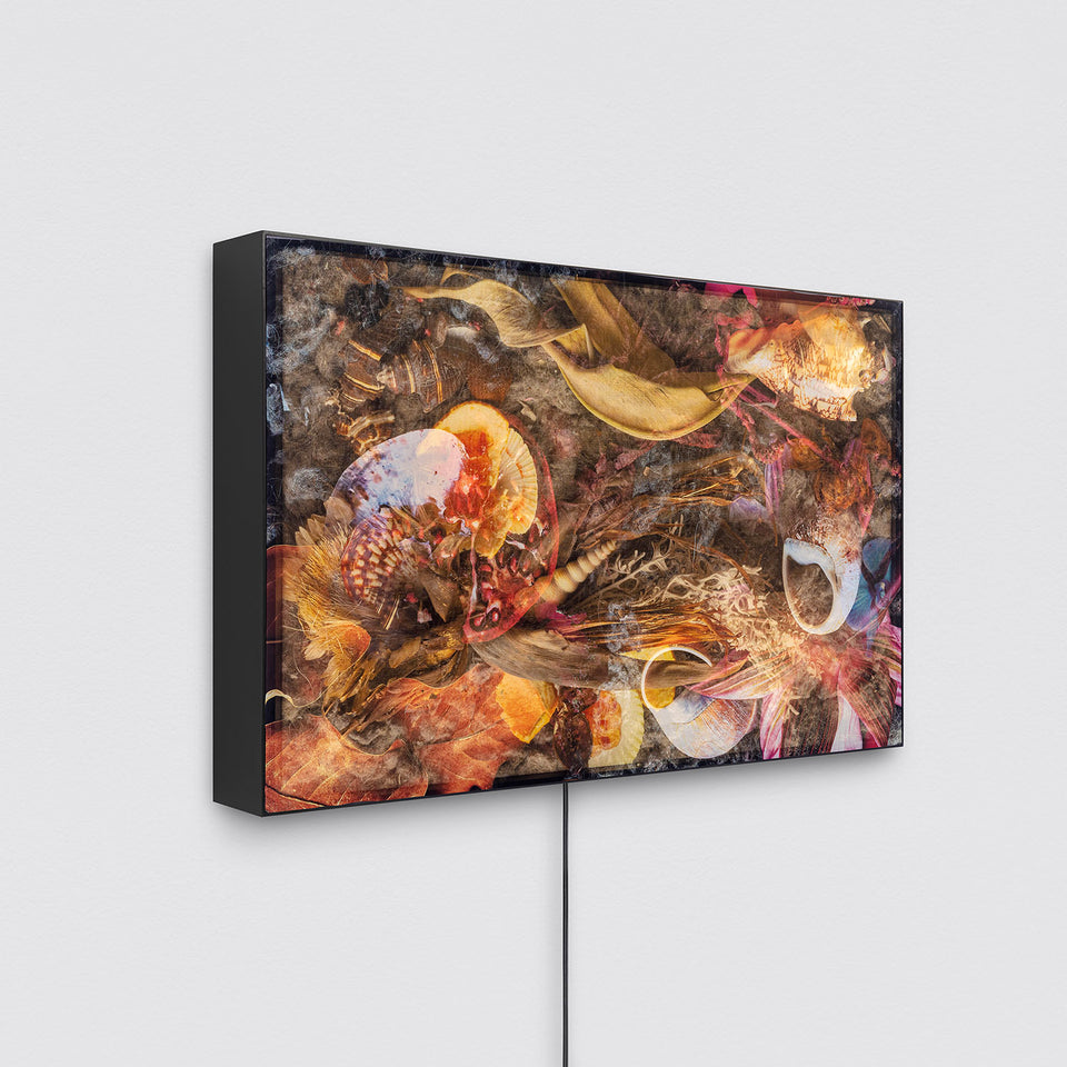 The translucent matter of the image