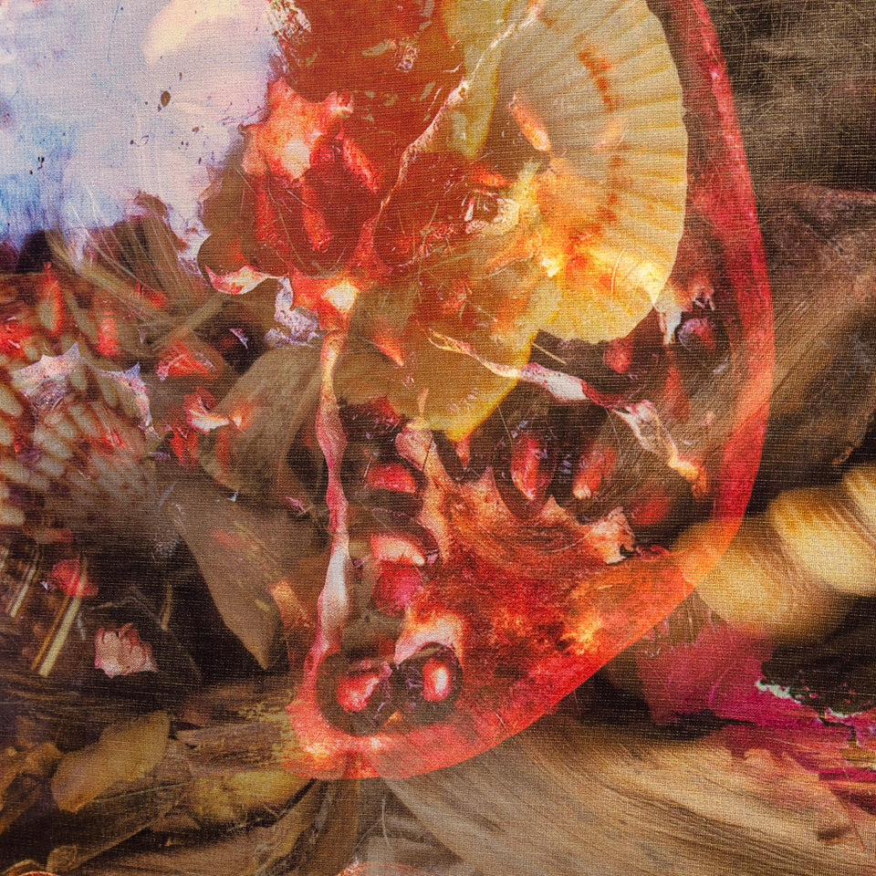 The translucent matter of the image