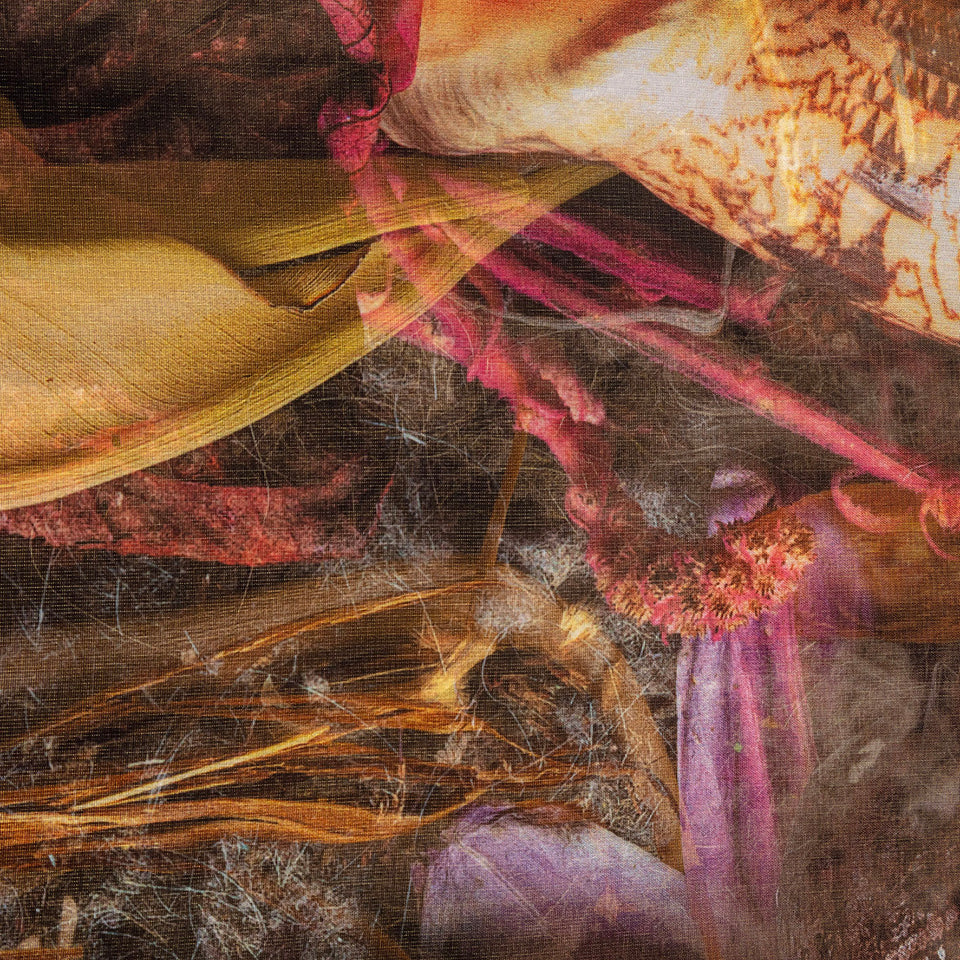 The translucent matter of the image