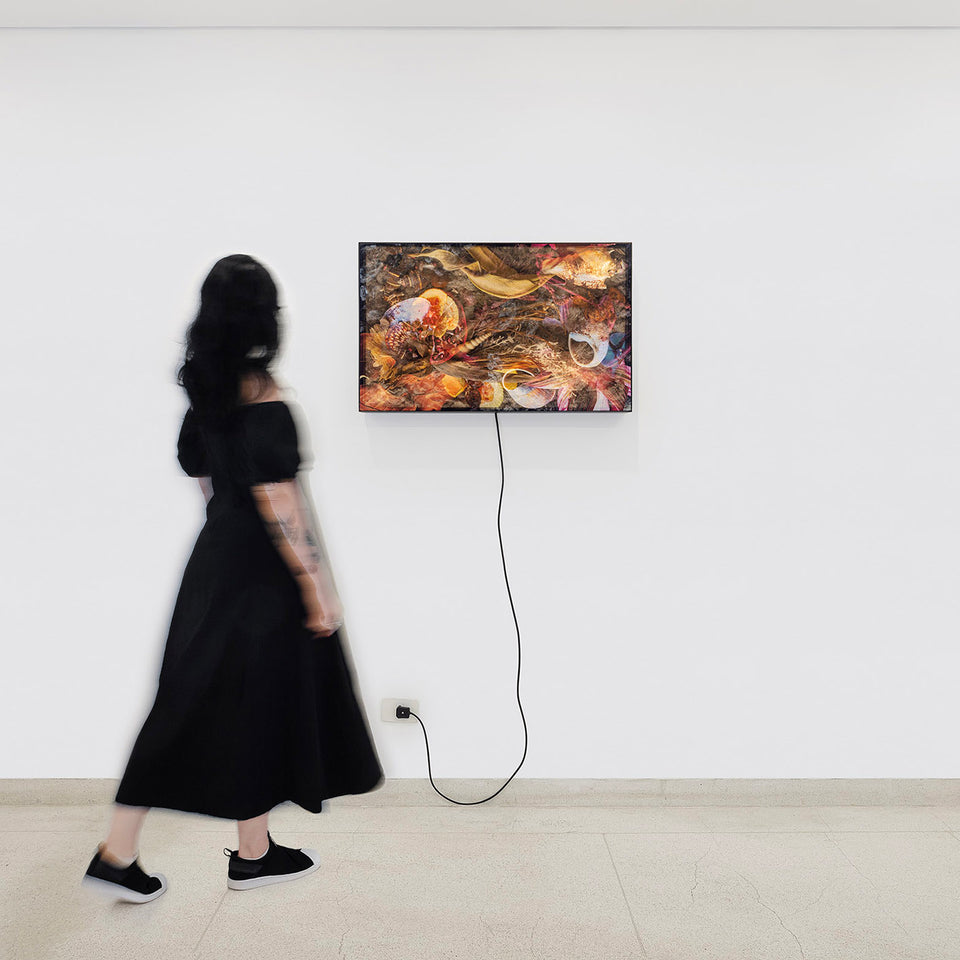 The translucent matter of the image