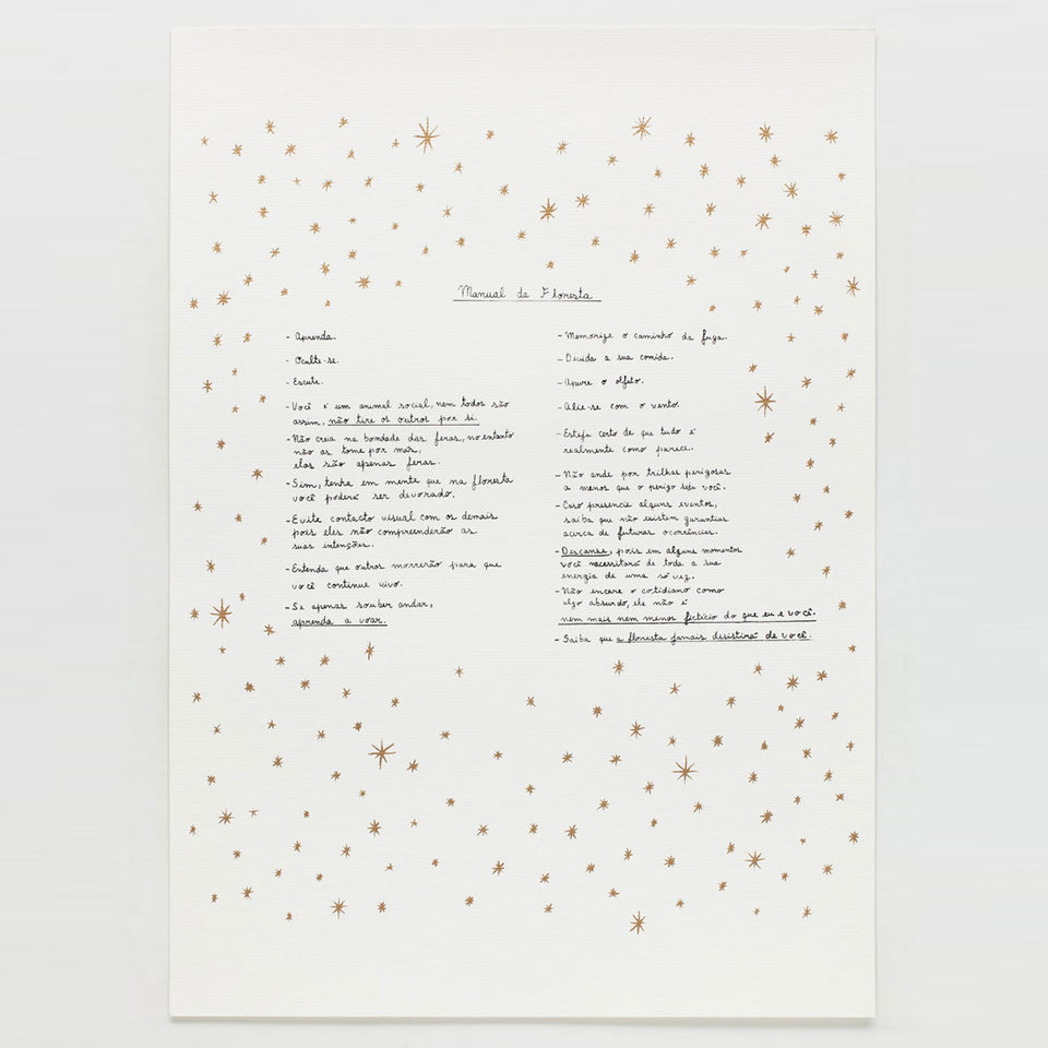 Manual da Floresta - Carbono Galeria