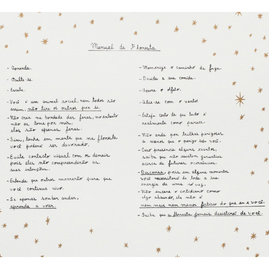 Manual da Floresta - Carbono Galeria