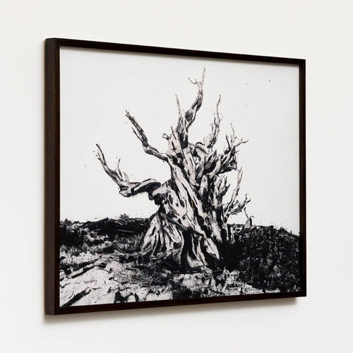 Methuselah - Carbono Galeria