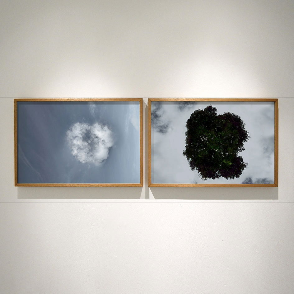 Nas Nuvens - Carbono Galeria