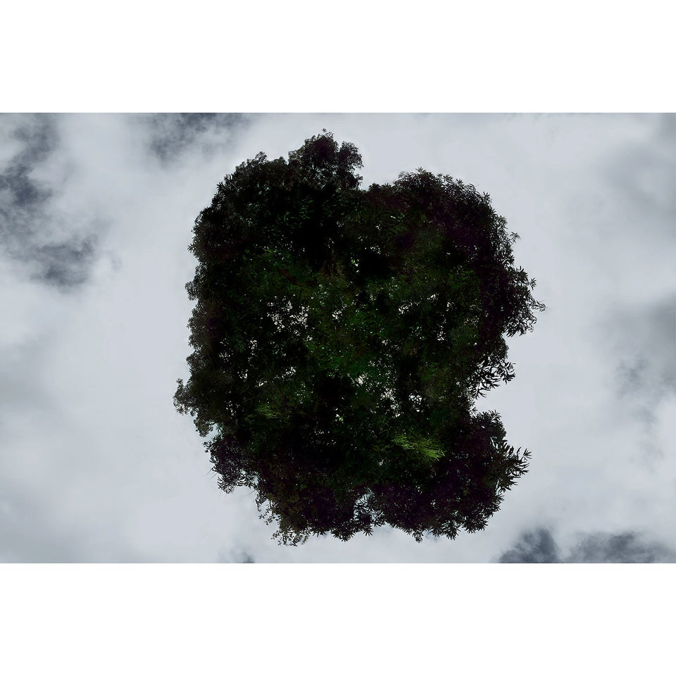 Nas Nuvens - Carbono Galeria