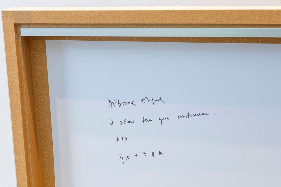 O show tem que continuar - Carbono Galeria