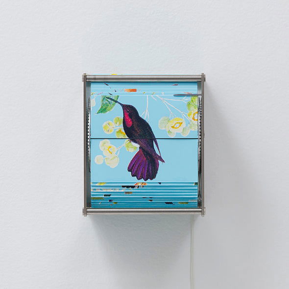 Ornithology Ab - Carbono Galeria