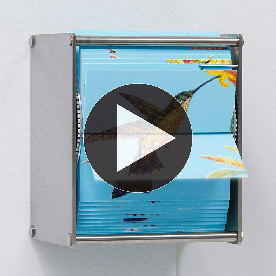 Ornithology Ab - Carbono Galeria