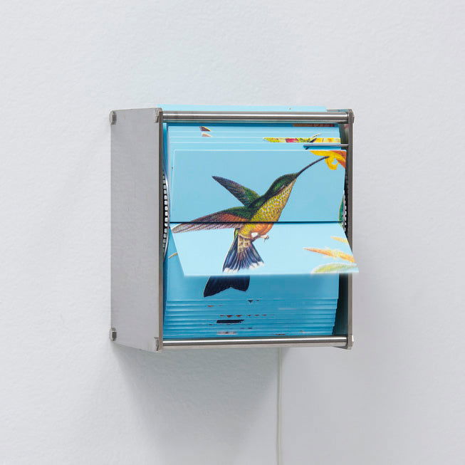 Ornithology Ab - Carbono Galeria