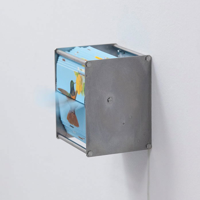 Ornithology Ab - Carbono Galeria