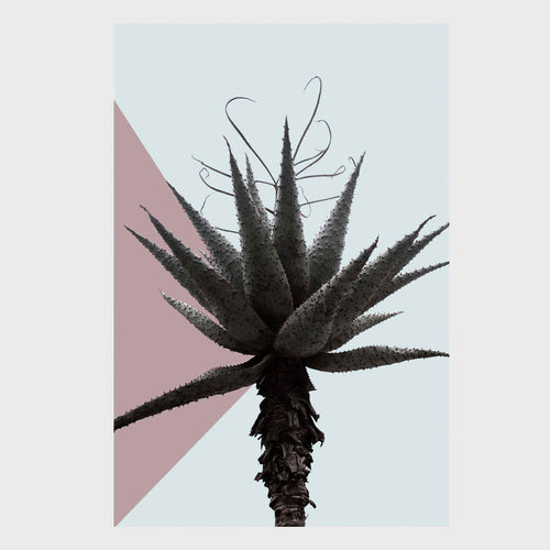 Os Sexos - Carbono Galeria