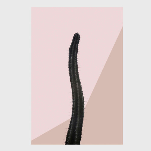 Os Sexos - Carbono Galeria
