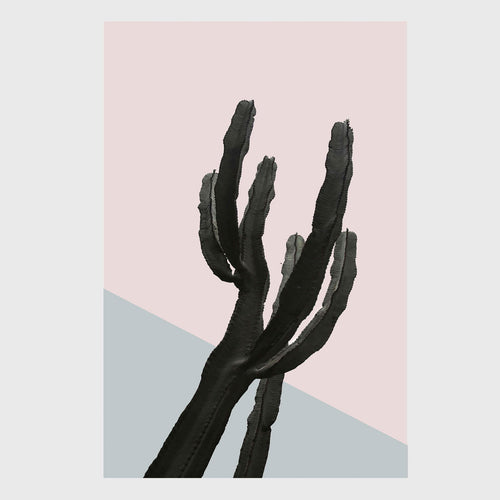 Os Sexos - Carbono Galeria