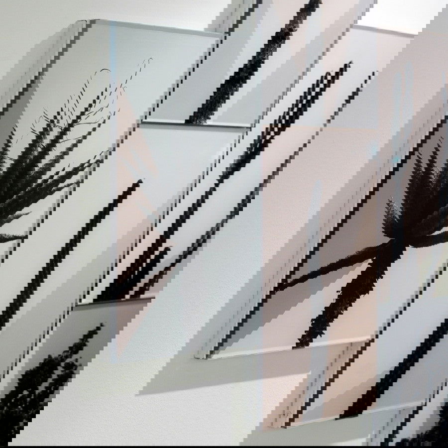 Os Sexos - Carbono Galeria