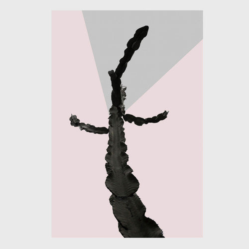 Os Sexos - Carbono Galeria