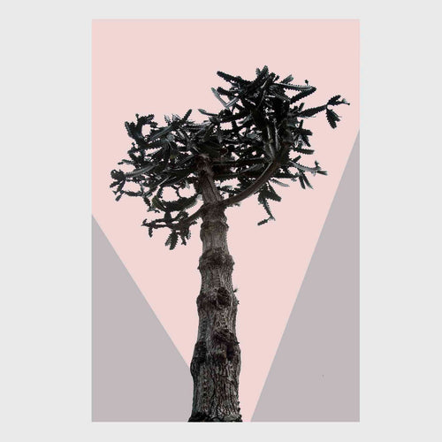 Os Sexos - Carbono Galeria