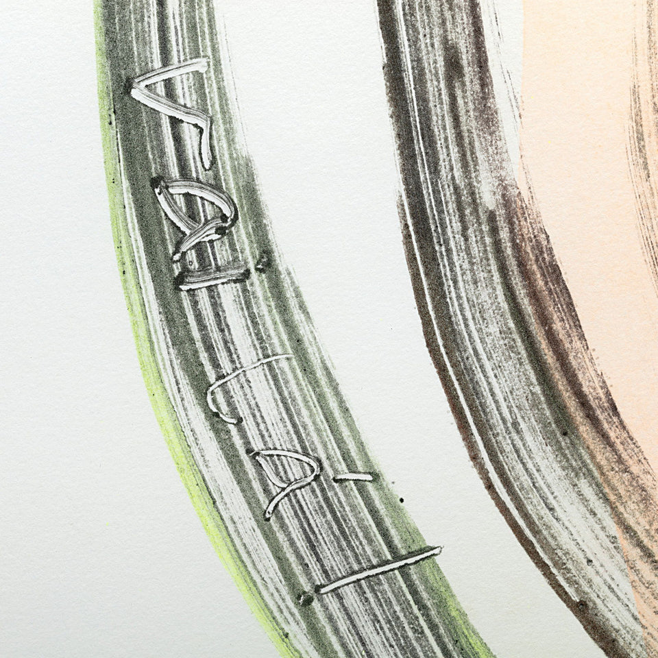 Os cestos escondem tudo - Carbono Galeria