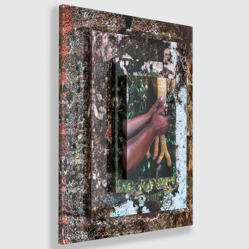 Palma Filia III - Carbono Galeria