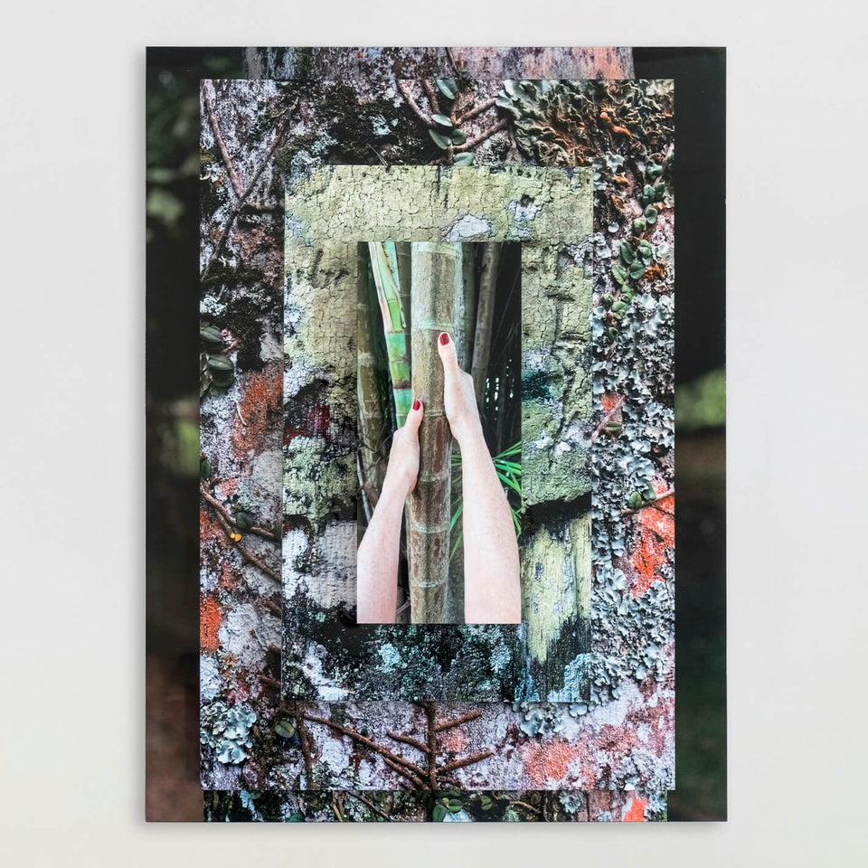 Palma Filia II - Carbono Galeria