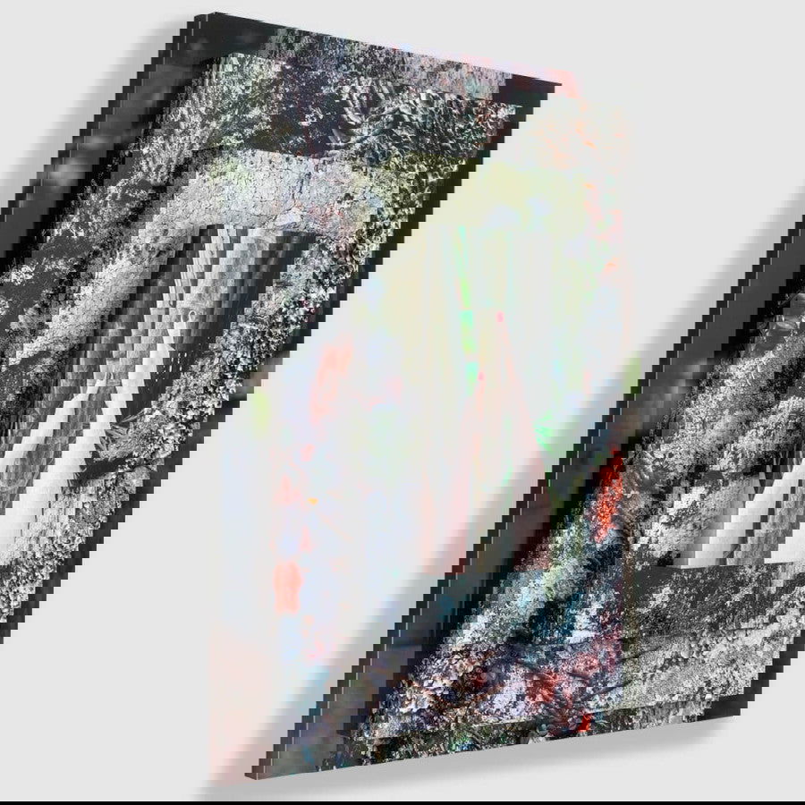 Palma Filia II - Carbono Galeria