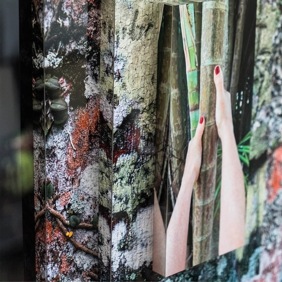 Palma Filia II - Carbono Galeria