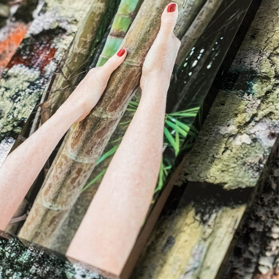 Palma Filia II - Carbono Galeria