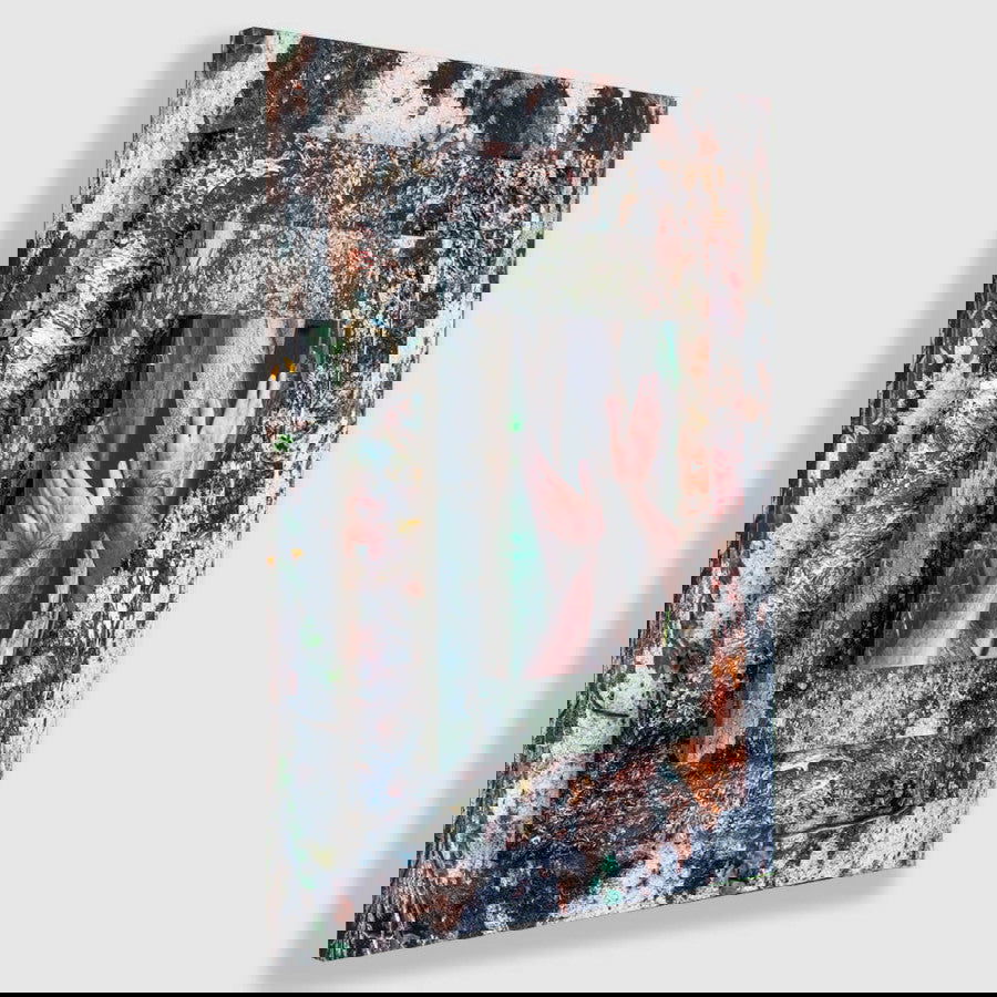 Palma Filia I - Carbono Galeria