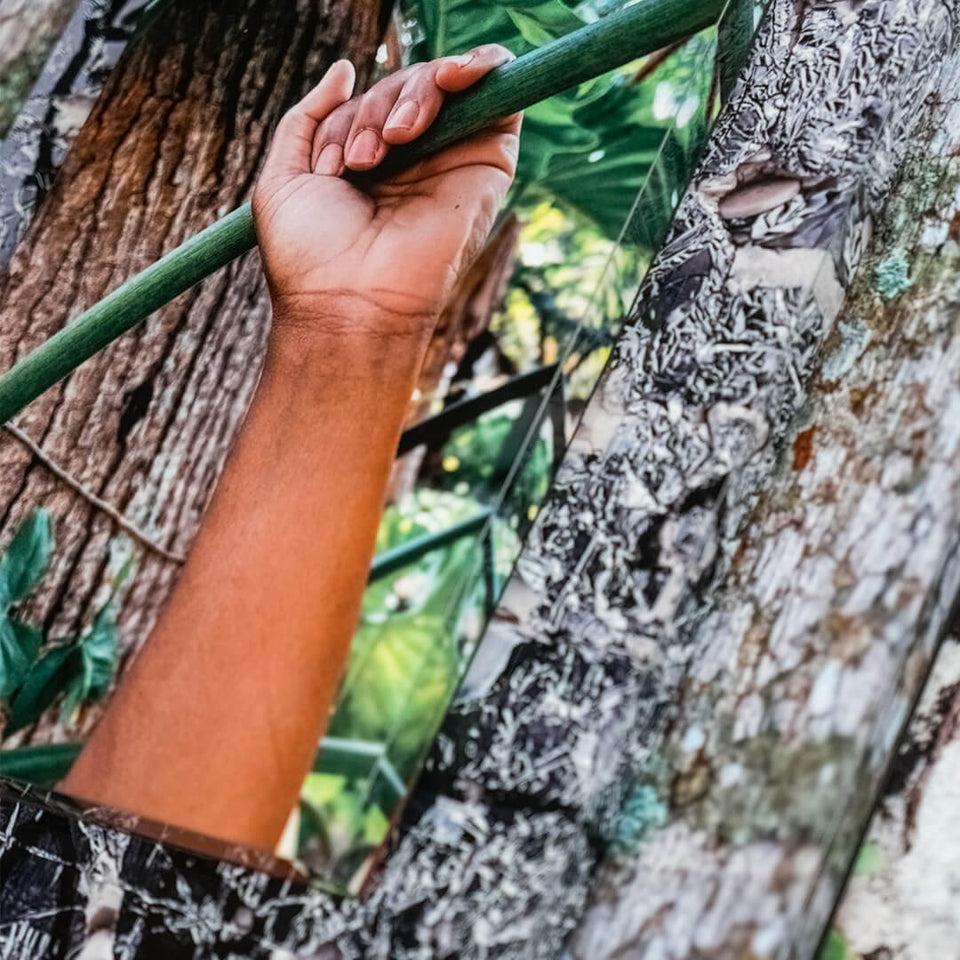 Palma Filia VII - Carbono Galeria