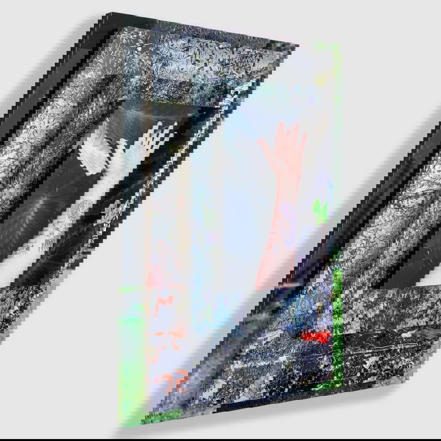 Palma Filia VI - Carbono Galeria