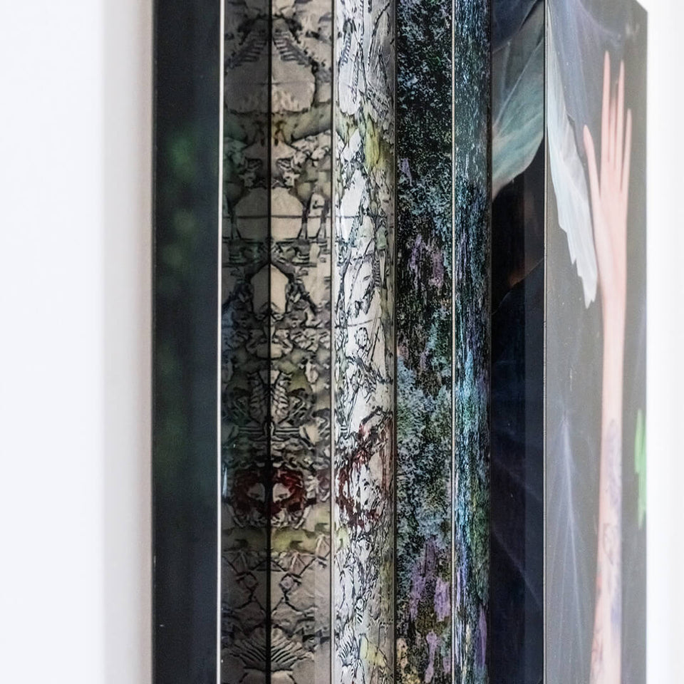 Palma Filia VI - Carbono Galeria