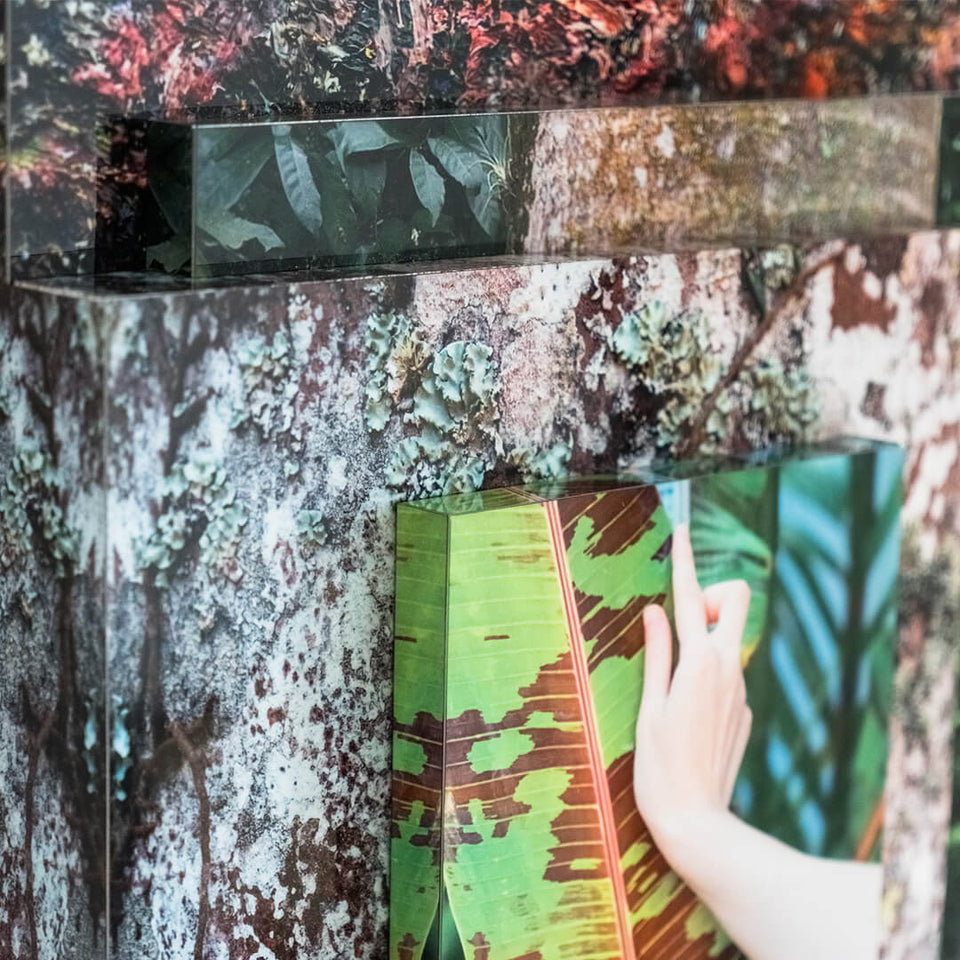 Palma Filia V - Carbono Galeria