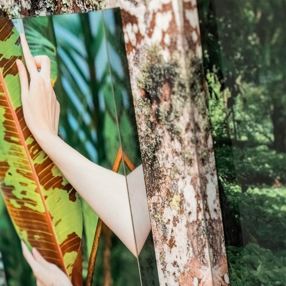 Palma Filia V - Carbono Galeria