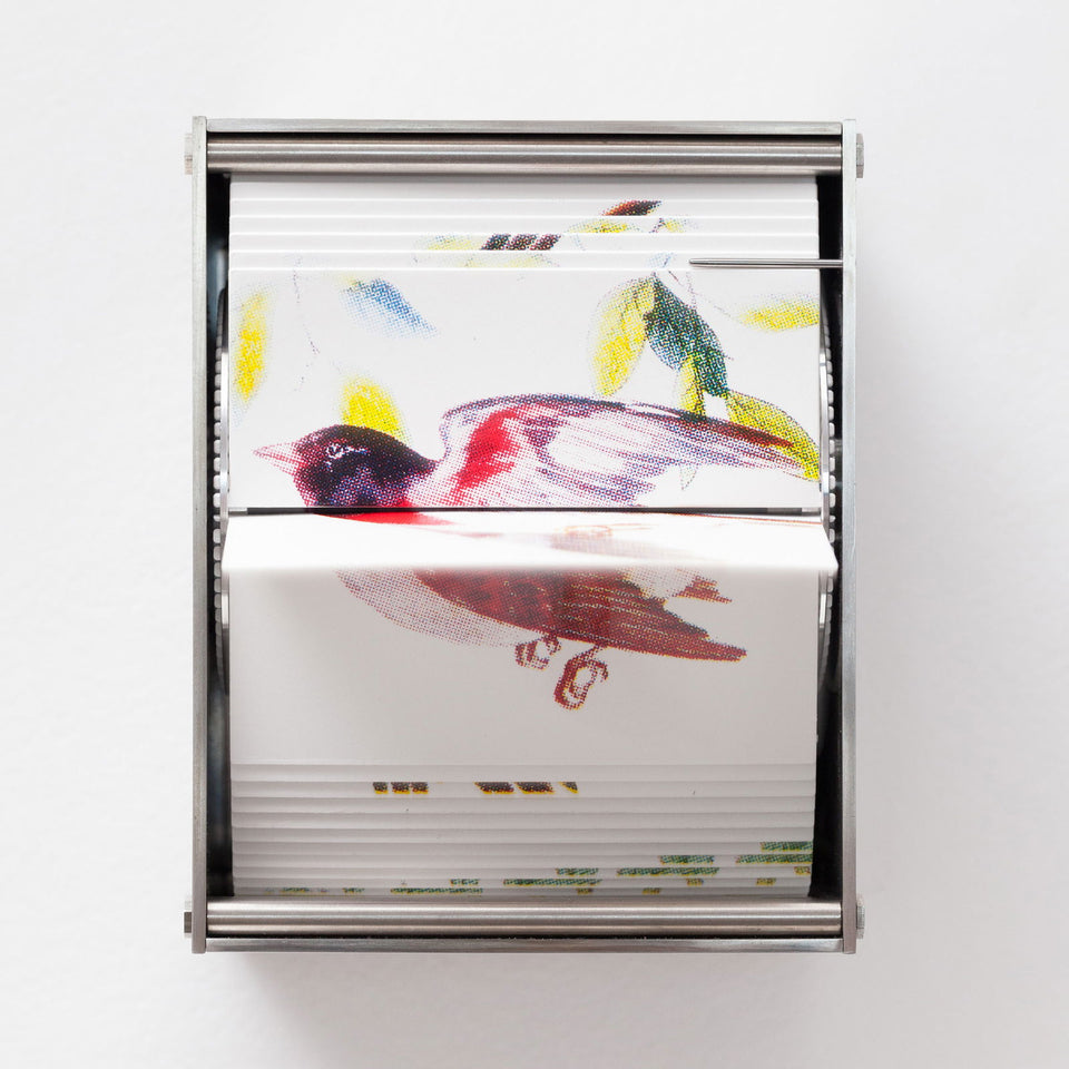 Passerine - Carbono Galeria